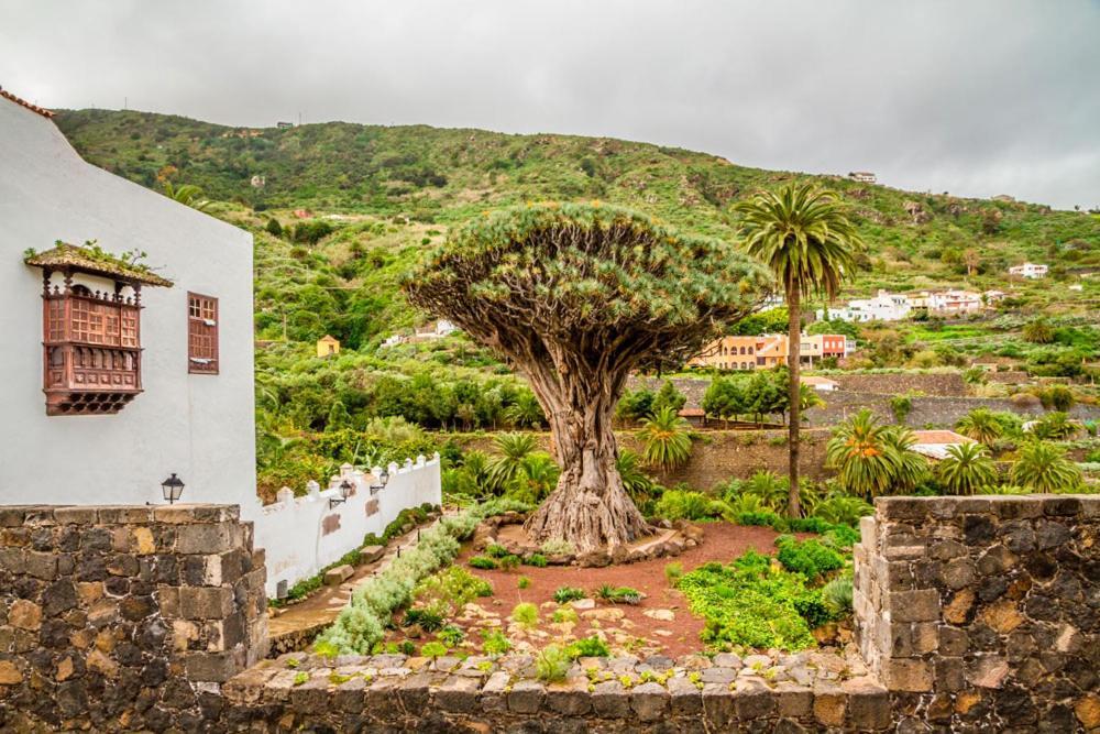 Acogedor Estudio En Playa San Marcos, Icod De Los Vinosアパートメント エクステリア 写真